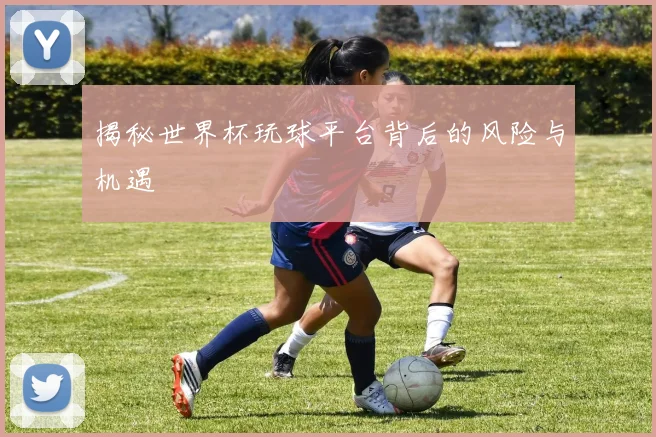 揭秘世界杯玩球平台背后的风险与机遇