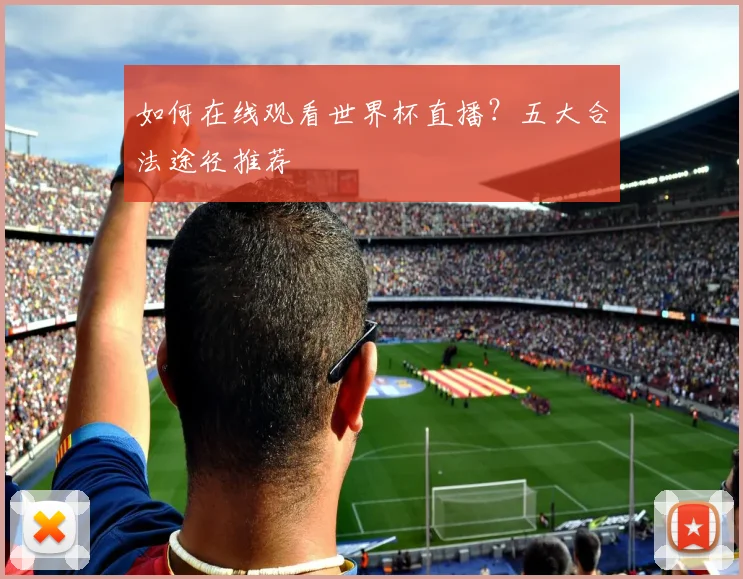 如何在线观看世界杯直播?五大合法途径推荐