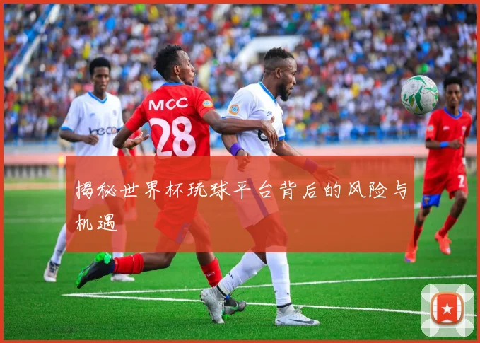 揭秘世界杯玩球平台背后的风险与机遇