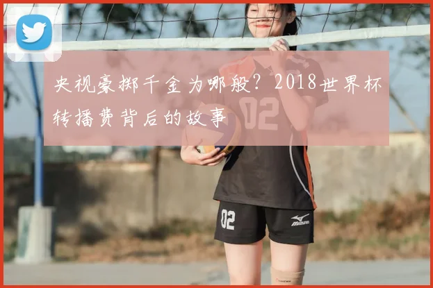 央视豪掷千金为哪般？2018世界杯转播费背后的故事