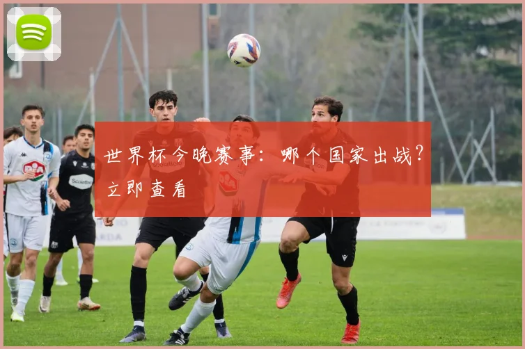 世界杯今晚赛事:哪个国家出战?立即查看