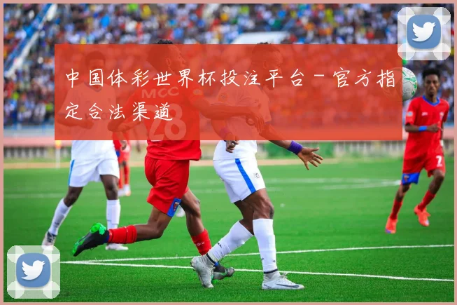 中国体彩世界杯投注平台 - 官方指定合法渠道