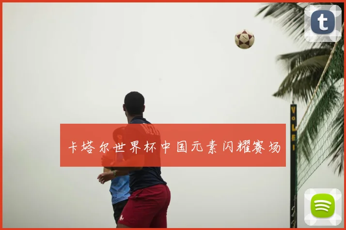 卡塔尔世界杯中国元素闪耀赛场