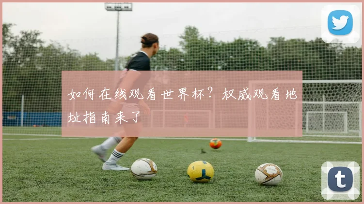 如何在线观看世界杯？权威观看地址指南来了