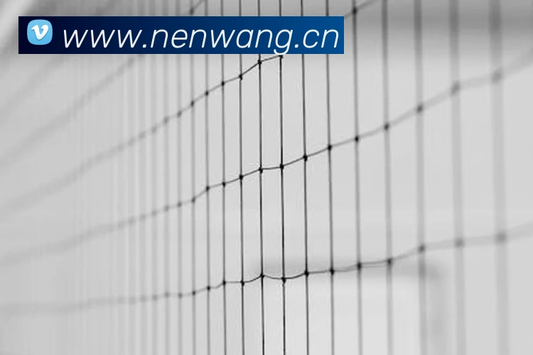 九游网页版官网登录平台生态图