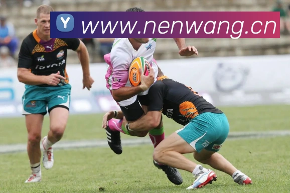 九游网页版官网登录APP 封面图